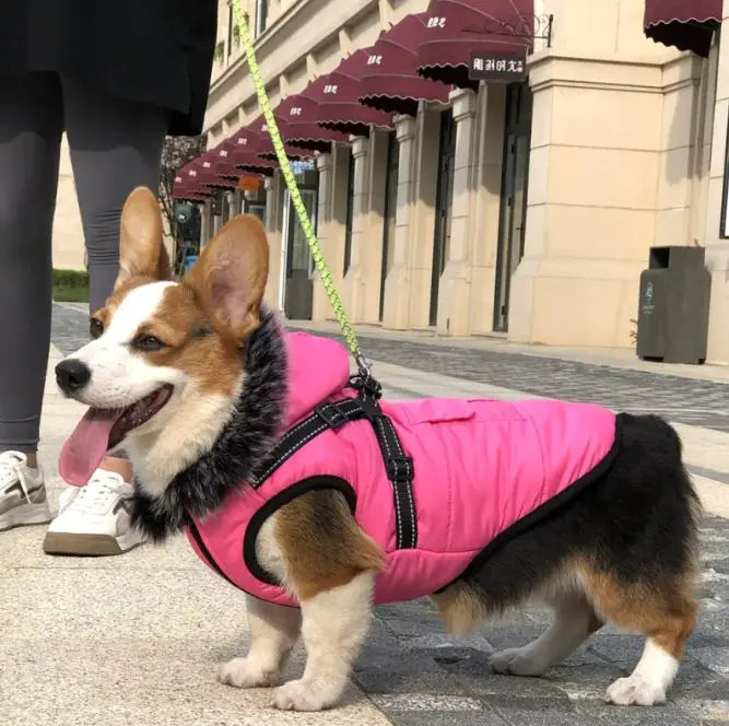 🧥: Thickened Winter Cotton Vest with Warm Fur Collar - Luxury Pet Outerwear
