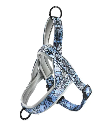 🦮: Dog Harness with Leash - Comfortable Chest Strap Walking Set