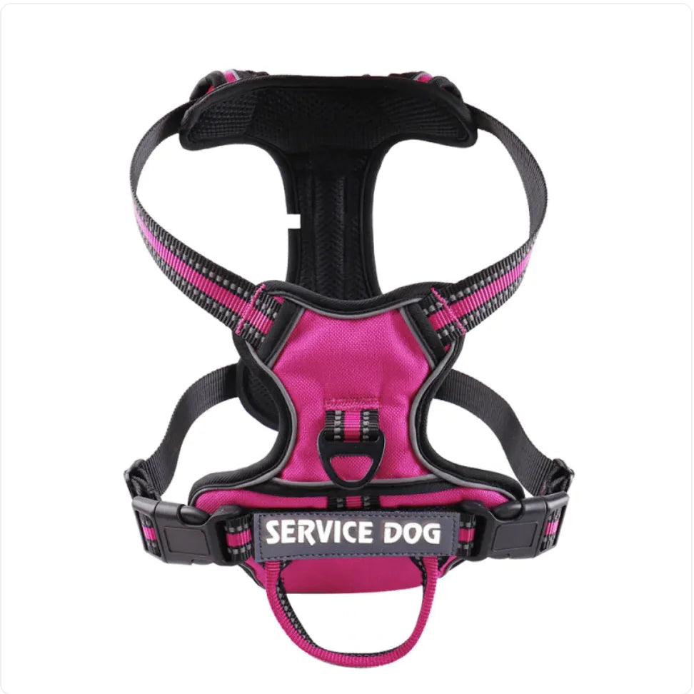 🐕: Personalized Oxford Cloth Dog Harness - Comfortable Secure Pet Chest Strap