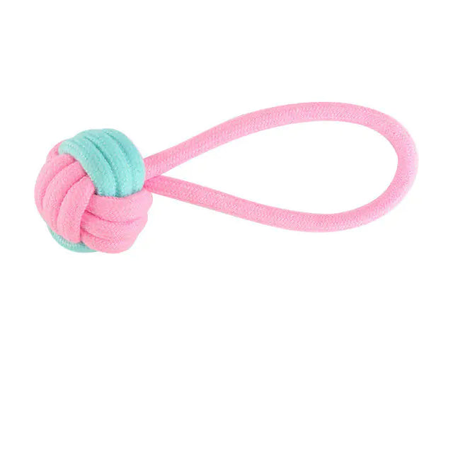 🦴: Pet Dog Chew Toys - Durable Interactive Play Collection