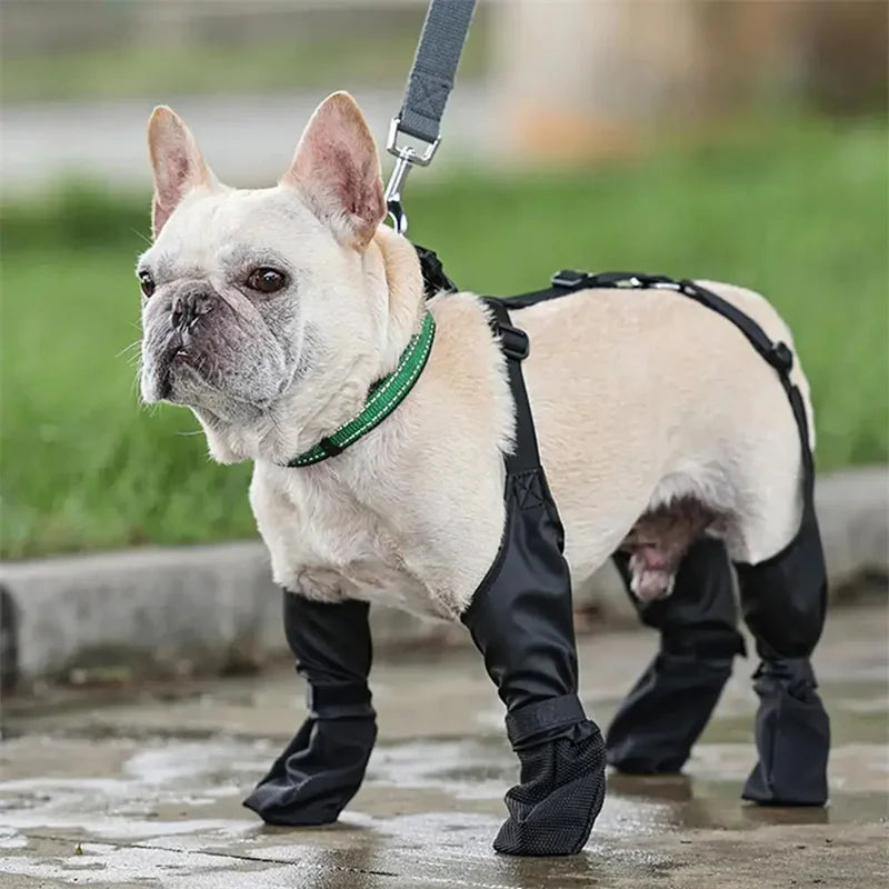 🥾: Waterproof Adjustable Dog Boots - All-Weather Paw Protection