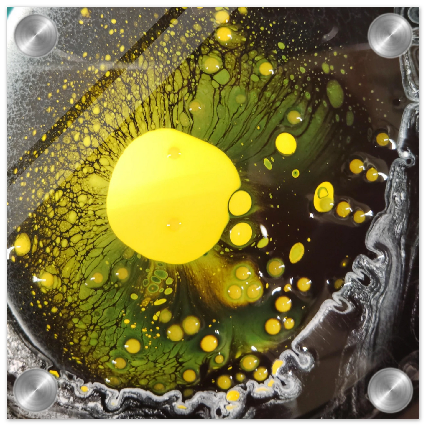 905fbf84-f64b-4b00-b65d-dd8b461cf78e