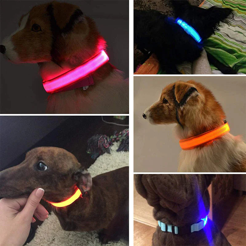 π LED Adjustable Dog Collar - Blinking Safety Light Waterproof Pet Collar