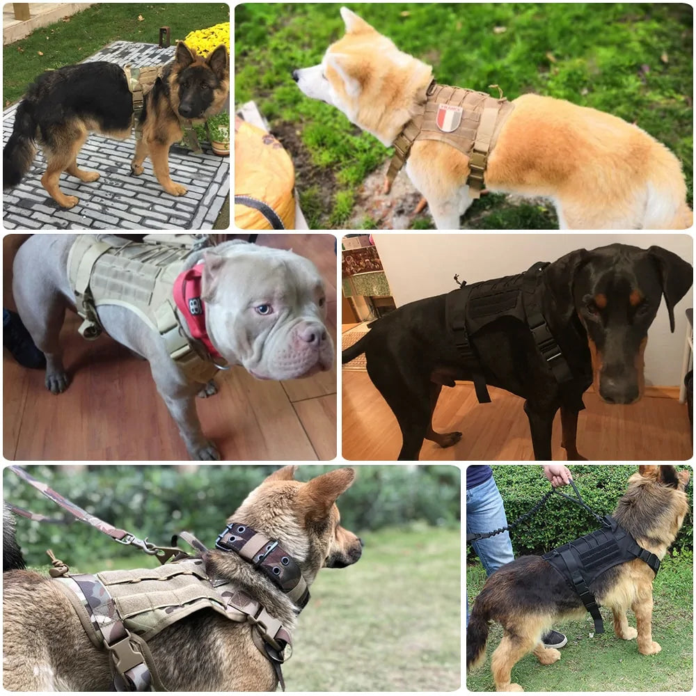 π Tactical Dog Harness with Handle - Heavy Duty Nylon Harness & Bungee Leash
