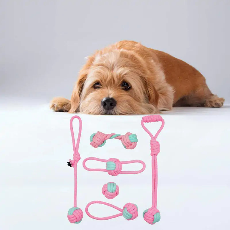 🦴: Pet Dog Chew Toys - Durable Interactive Play Collection