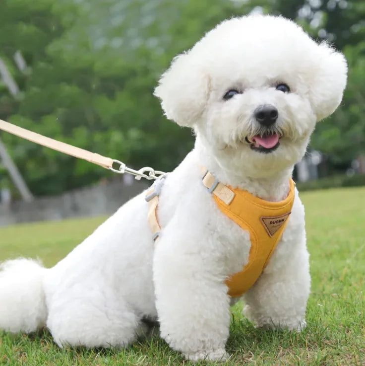 🦮: Small Dog Anti-Breaking Harness & Leash - Secure Safety Set