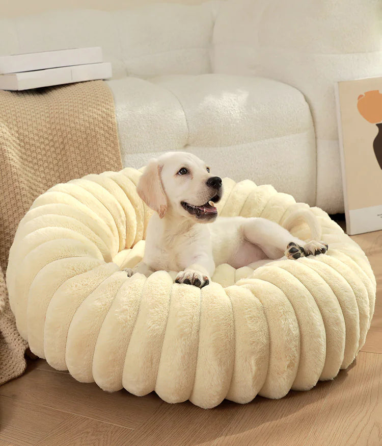 🏠: Plush Round Cat & Dog Nest - Ultra-Soft Winter Comfort Bed