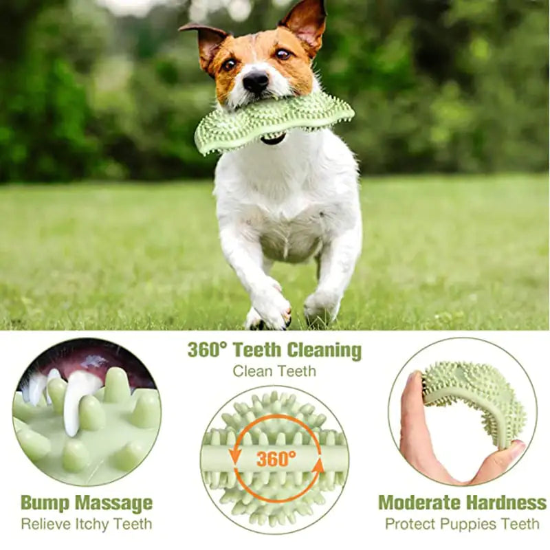 🐕: Bite-Resistant Dog Toy Ball for Interactive Chewing