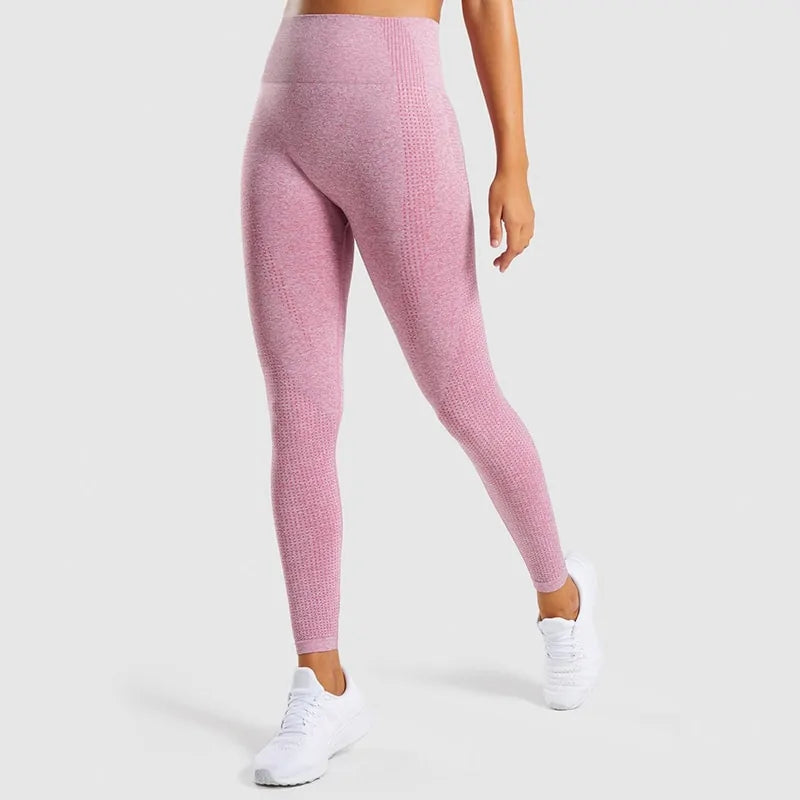 🏃♀️: High Waist Seamless Fitness Leggings - Essential Women's Sportswear