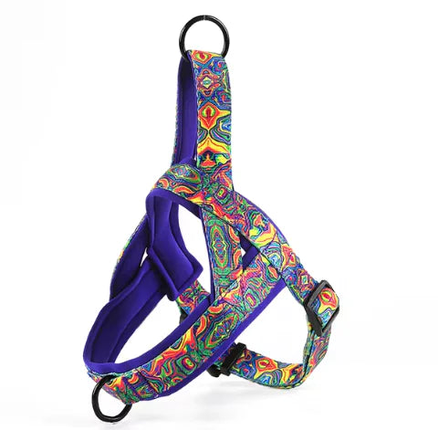 🦮: Dog Harness with Leash - Comfortable Chest Strap Walking Set