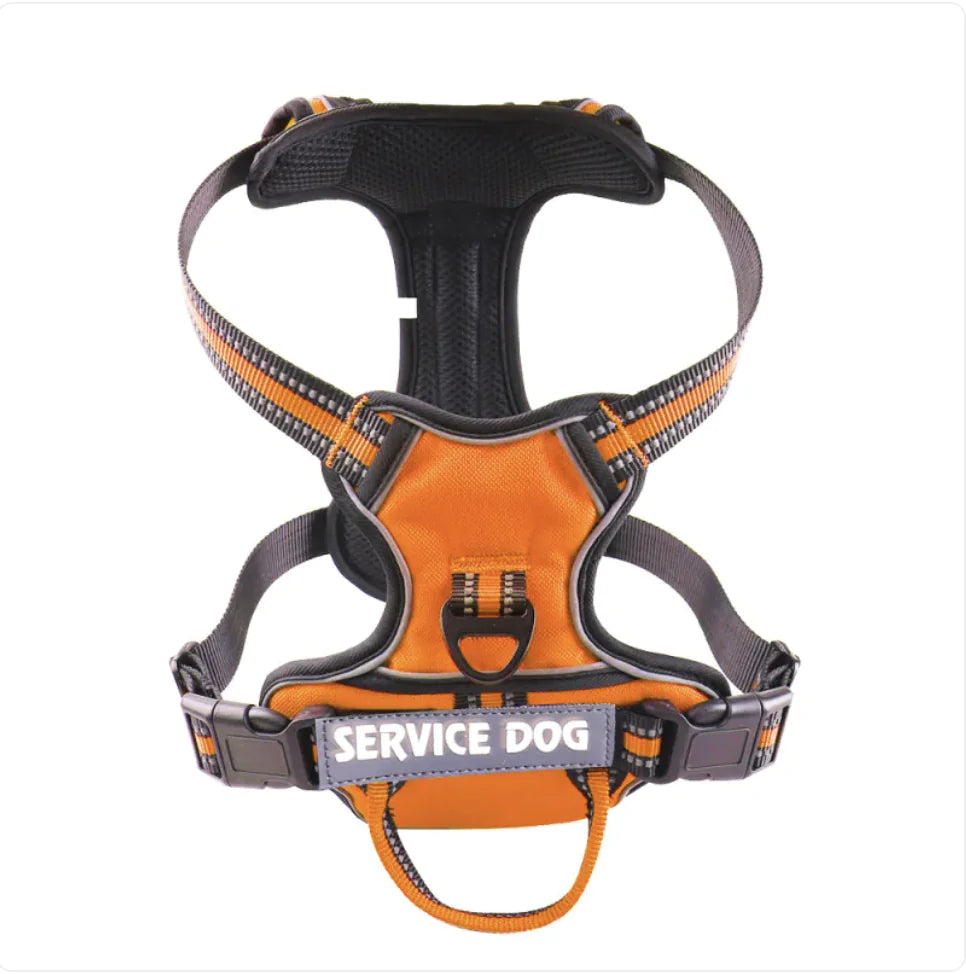 🐕: Personalized Oxford Cloth Dog Harness - Comfortable Secure Pet Chest Strap