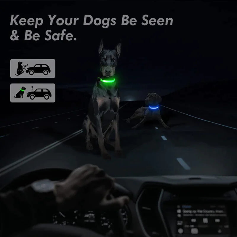 π LED Adjustable Dog Collar - Blinking Safety Light Waterproof Pet Collar