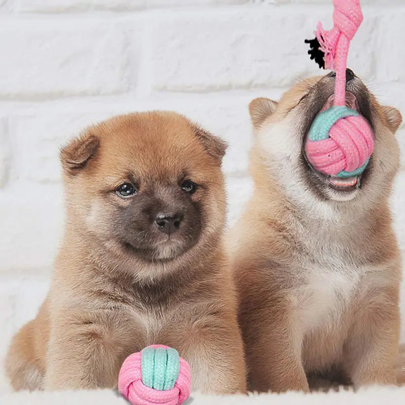 🦴: Pet Dog Chew Toys - Durable Interactive Play Collection