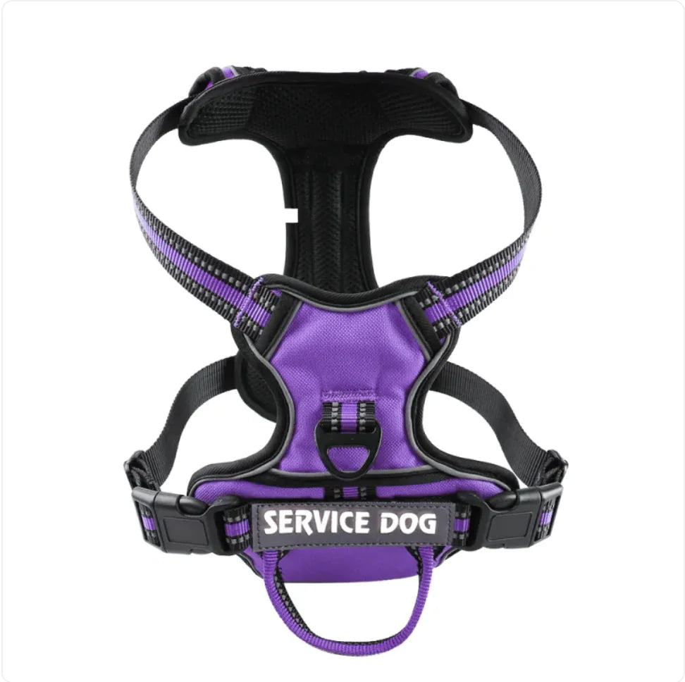 🐕: Personalized Oxford Cloth Dog Harness - Comfortable Secure Pet Chest Strap