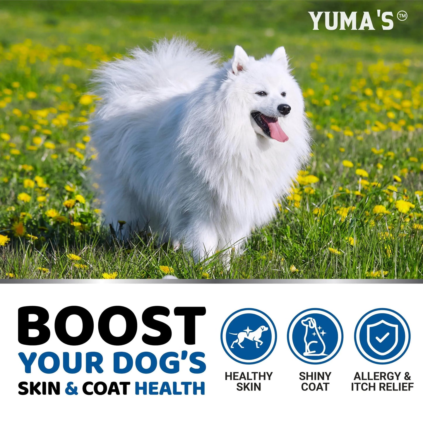 🐕: Omega 3 Fish Oil for Dogs - 170 Chews Skin & Coat Supplement