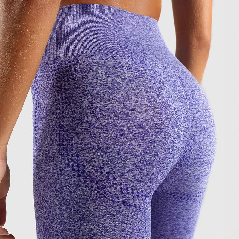 🏃♀️: High Waist Seamless Fitness Leggings - Essential Women's Sportswear