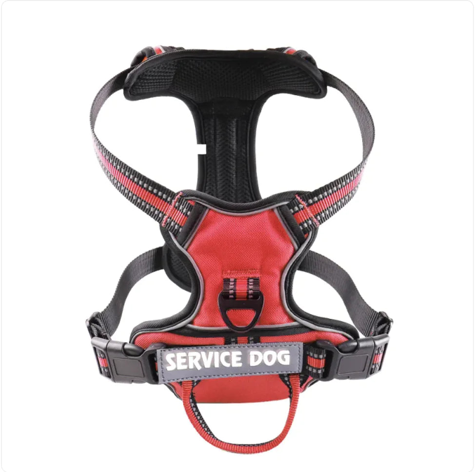🐕: Personalized Oxford Cloth Dog Harness - Comfortable Secure Pet Chest Strap