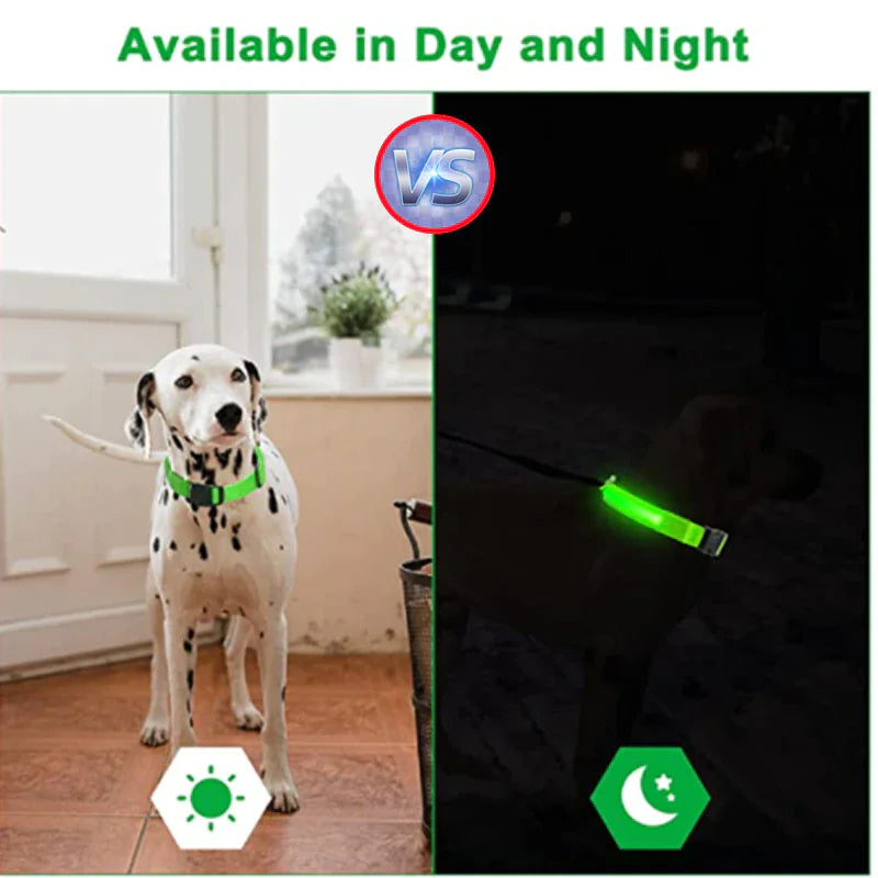 π LED Adjustable Dog Collar - Blinking Safety Light Waterproof Pet Collar