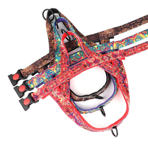 🦮: Dog Harness with Leash - Comfortable Chest Strap Walking Set