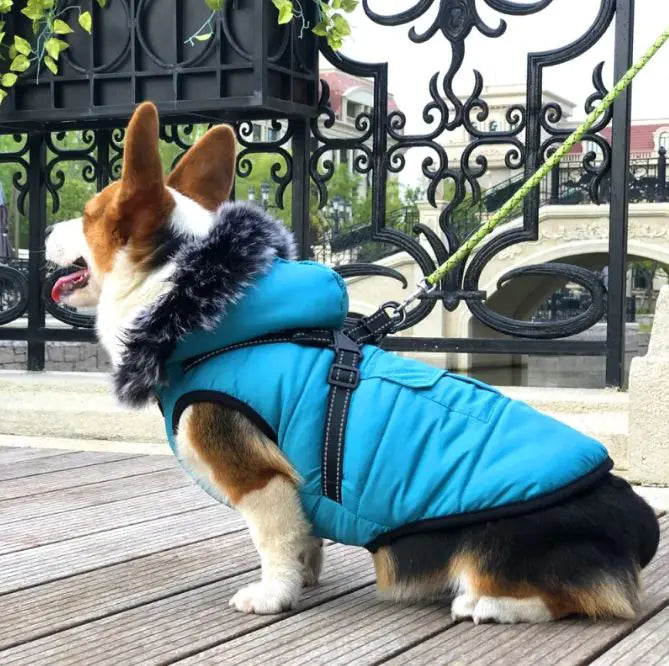🧥: Thickened Winter Cotton Vest with Warm Fur Collar - Luxury Pet Outerwear