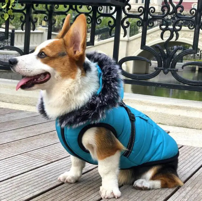 🧥: Thickened Winter Cotton Vest with Warm Fur Collar - Luxury Pet Outerwear