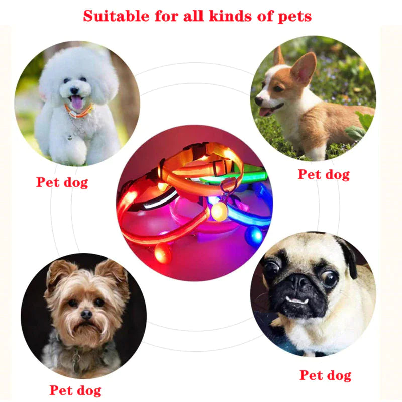 π LED Adjustable Dog Collar - Blinking Safety Light Waterproof Pet Collar