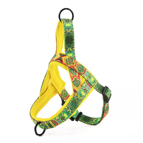 🦮: Dog Harness with Leash - Comfortable Chest Strap Walking Set