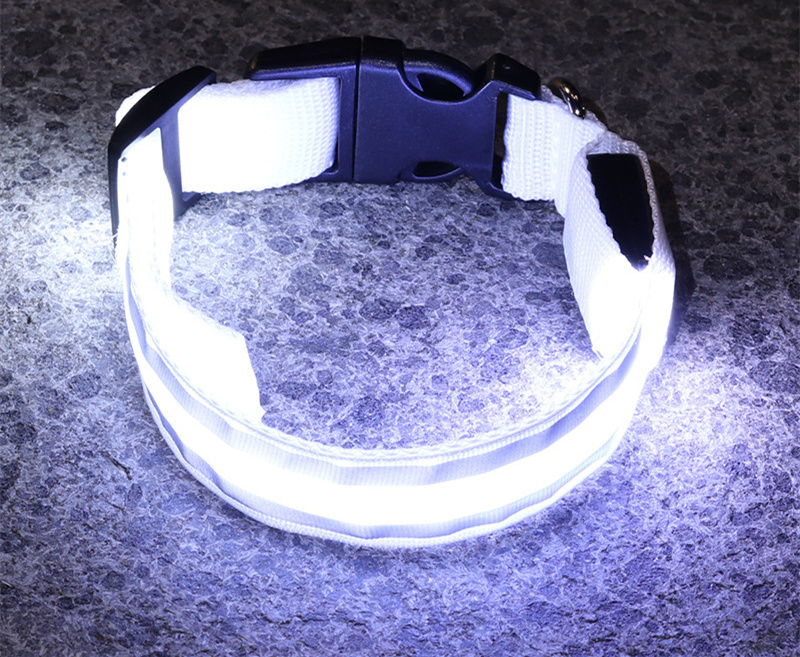 🐕: Anti-Lost LED Luminous Dog Collar – Rechargeable & Battery Reflective Safety Collar