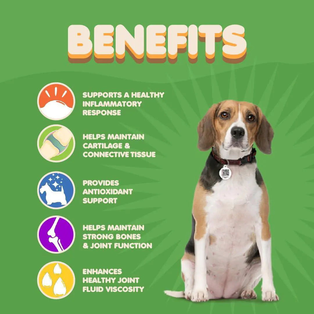 🦴: Dog Hip & Joint Supplement - Glucosamine Chondroitin MSM Turmeric