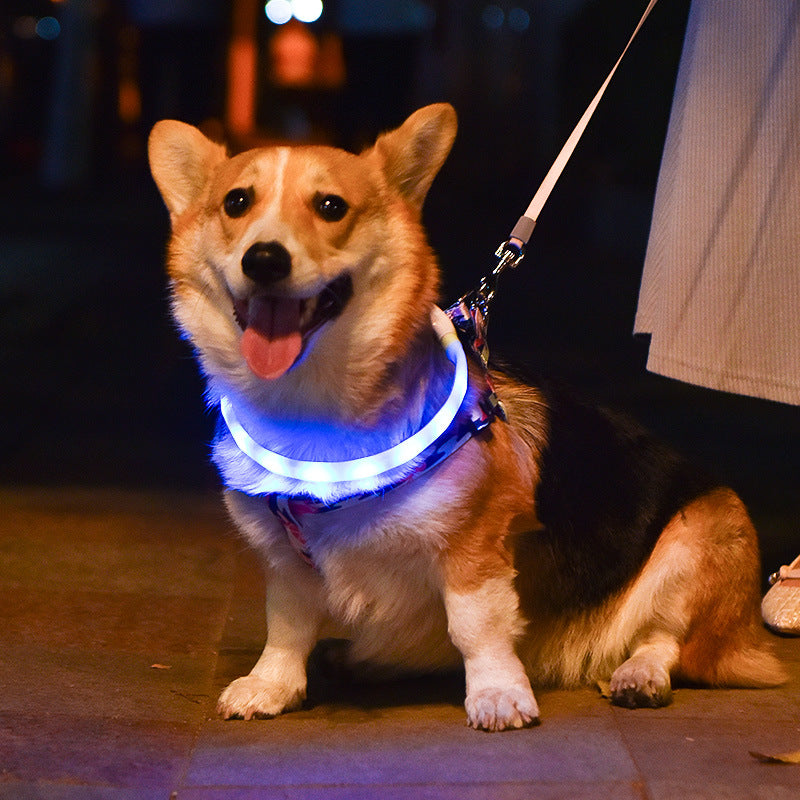 🐕: Світний світлодіодний нашийник і повідець для собак – силіконовий USB-набір, що світиться, для нічних прогулянок