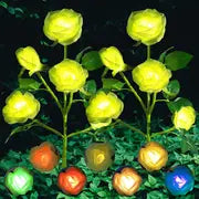 🌹: Color-Changing Solar Garden Roses