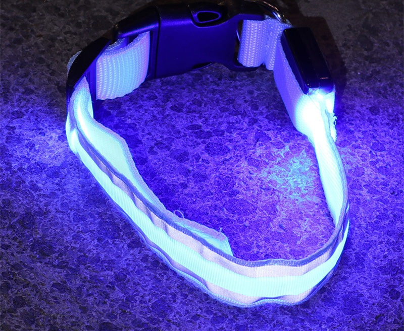 🐕: Anti-Lost LED Luminous Dog Collar – Rechargeable & Battery Reflective Safety Collar