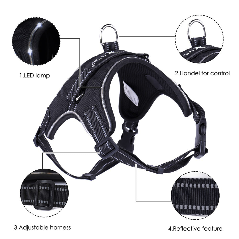🐕: LED Dog Harness & Leash Set with Light-Up Collar – Night Safety Walking Gear