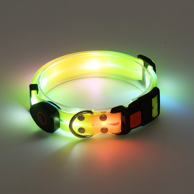 🐕: LED Rechargeable Pet Collar & Traction Belt – USB Glow Safety Set for Night Walks