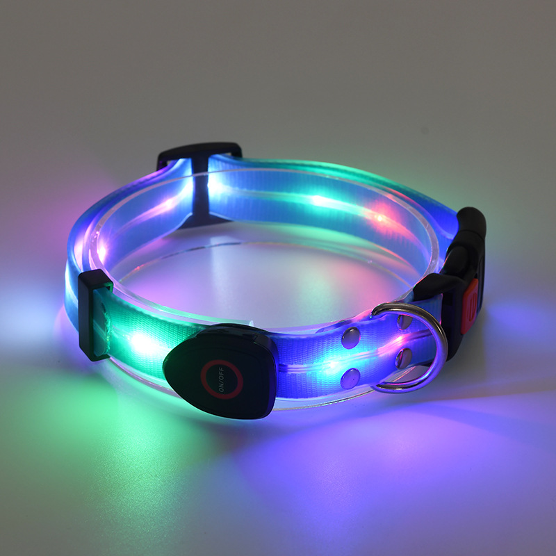 🐕: LED Rechargeable Pet Collar & Traction Belt – USB Glow Safety Set for Night Walks