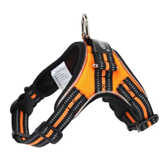 🐕: LED Dog Harness & Leash Set with Light-Up Collar – Night Safety Walking Gear