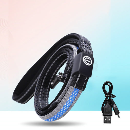 🐕: USB Rechargeable LED Dog Collar – Glow Safety Collar for Night Walks