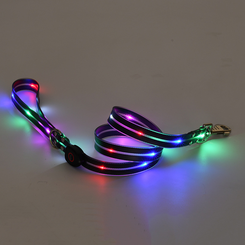🐕: LED Rechargeable Pet Collar & Traction Belt – USB Glow Safety Set for Night Walks