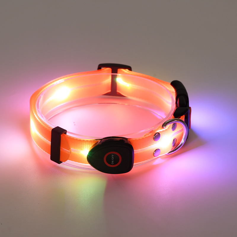 🐕: LED Rechargeable Pet Collar & Traction Belt – USB Glow Safety Set for Night Walks