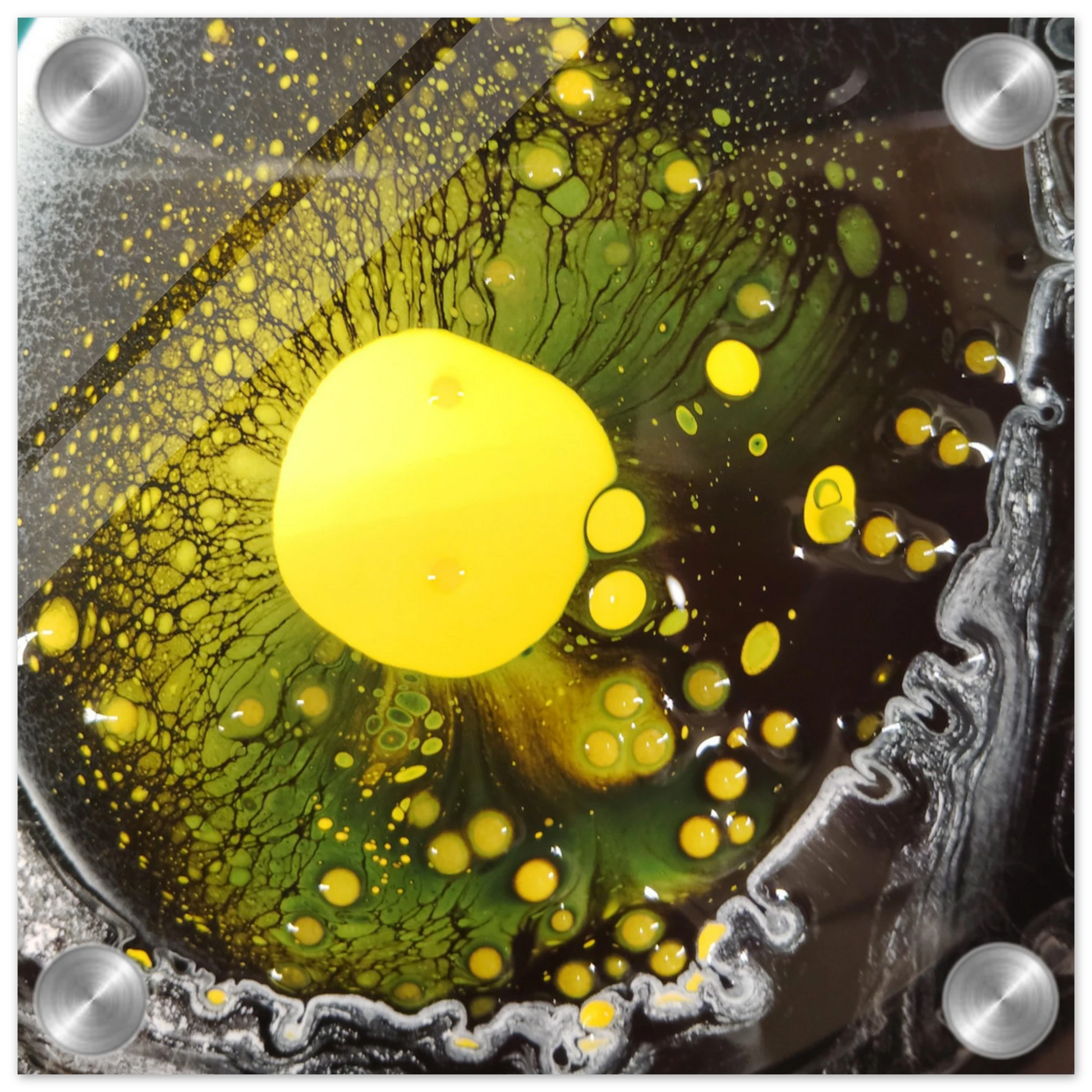 905fbf84-f64b-4b00-b65d-dd8b461cf78e