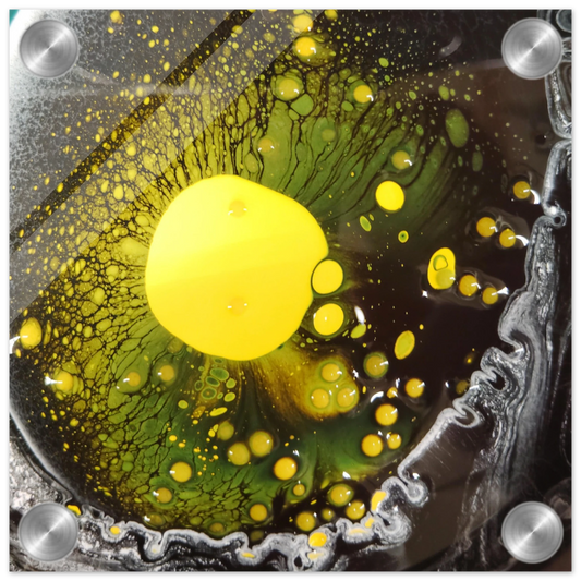 905fbf84-f64b-4b00-b65d-dd8b461cf78e