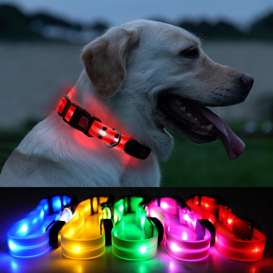 🐕: Нашийник для собак, що світиться світлодіодами – водонепроникний (IPX7), USB-C зарядний, для середніх та великих собак