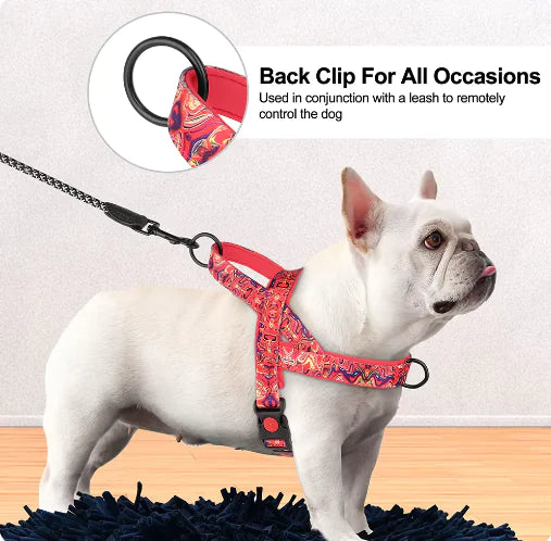 🦮: Dog Harness with Leash - Comfortable Chest Strap Walking Set