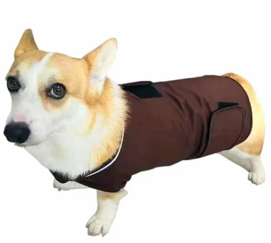 🐾: Calm Paws Anxiety Relief Tank