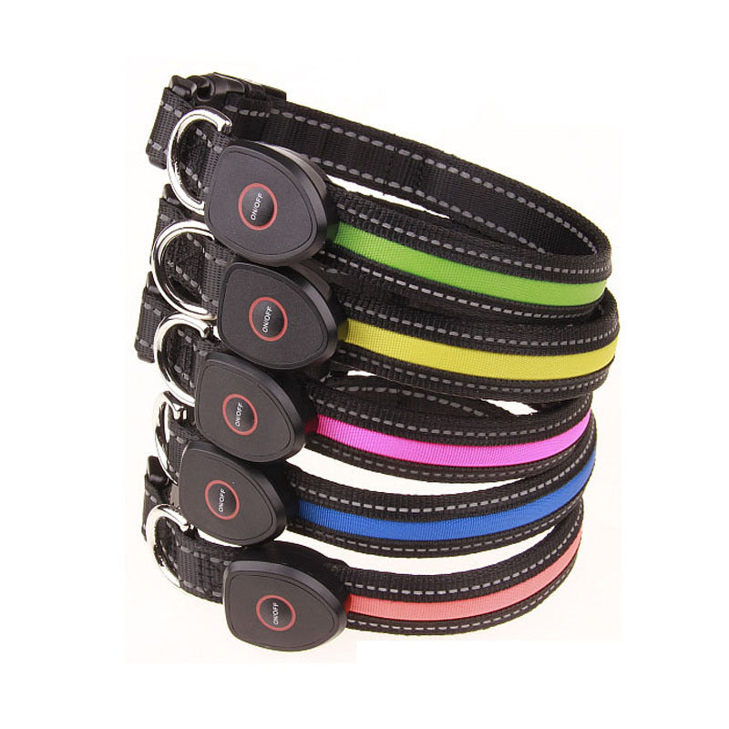 🐕: USB Rechargeable LED Dog Collar – Peach Shape Glow Safety Collar for Night Walks