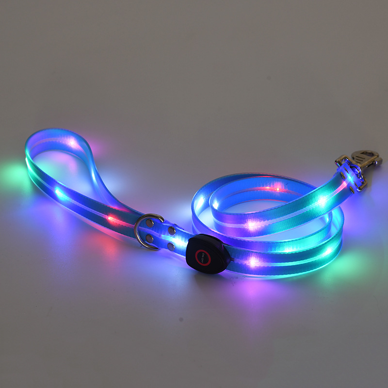 🐕: LED Rechargeable Pet Collar & Traction Belt – USB Glow Safety Set for Night Walks