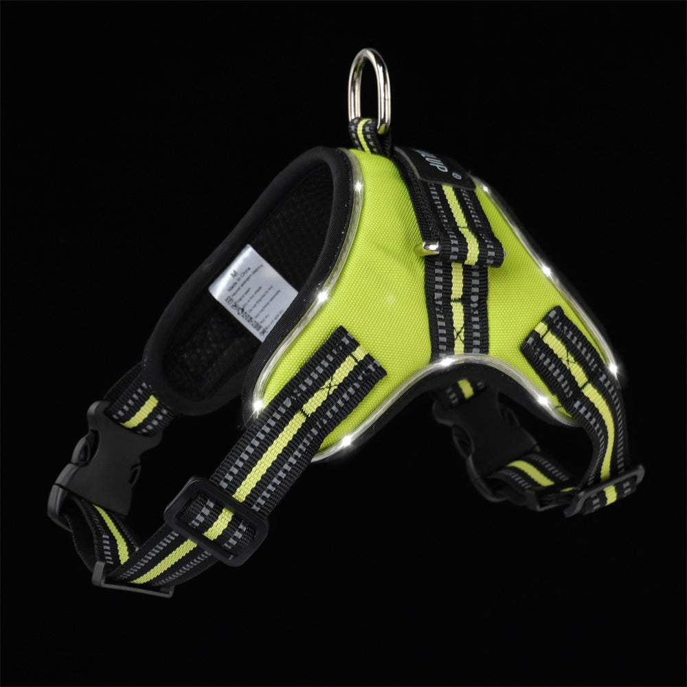 🐕: LED Dog Harness & Leash Set with Light-Up Collar – Night Safety Walking Gear