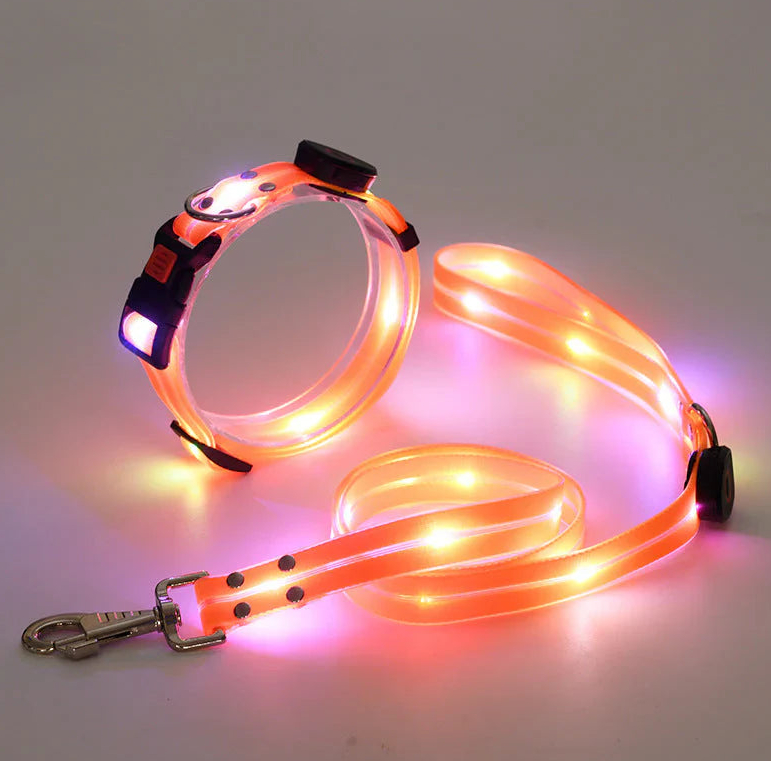 🐕: LED Rechargeable Pet Collar & Traction Belt – USB Glow Safety Set for Night Walks