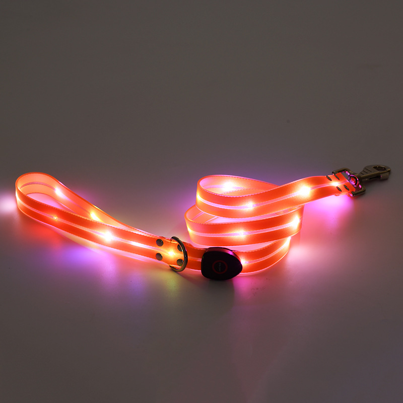 🐕: LED Rechargeable Pet Collar & Traction Belt – USB Glow Safety Set for Night Walks