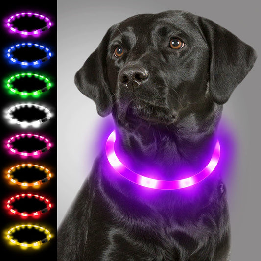 🐕: Нашийник для собак Joytale LED Light-Up – м’який силіконовий нашийник, що світиться, з зарядкою та 3 режимами для безпечних нічних прогулянок